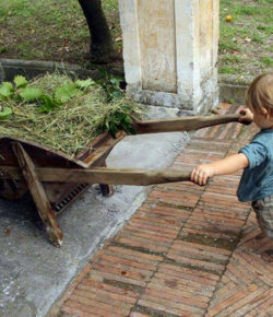 Piccoli vendemmiatori e coltivatori arrivano in Certosa