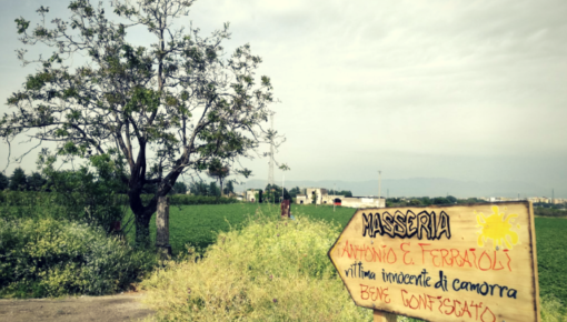 Masseria Ferraioli di Afragola: via la camorra, qui c’è un’impresa sociale agricola